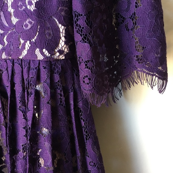 Eliza J Purple & Gold Lace Dress - Picture 8 of 8